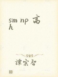 sm np 高h