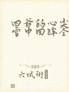 四爷的心尖宠妃雪中回眸全文免费阅读