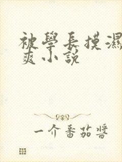 被学长摸湿奶好爽小说封面