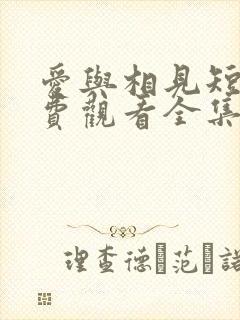 爱与相见短剧免费观看全集高清版封面