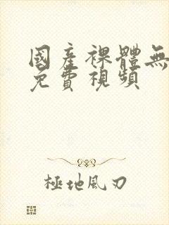 国产裸体无遮挡免费视频