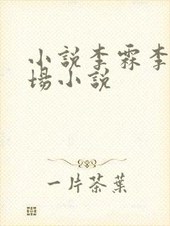 小说李霖李澜官场小说封面