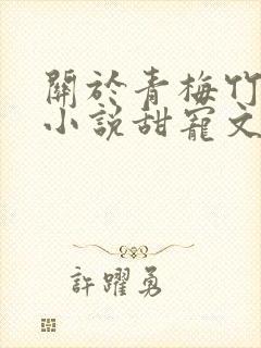关于青梅竹马的小说甜宠文