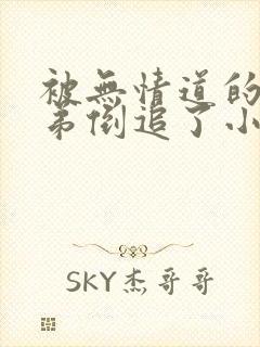 被无情道的小师弟倒追了小说免费阅读