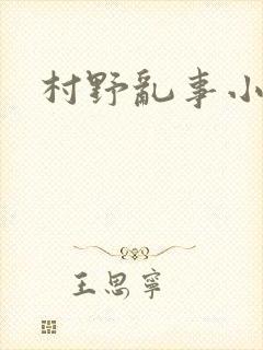 村野乱事小说封面