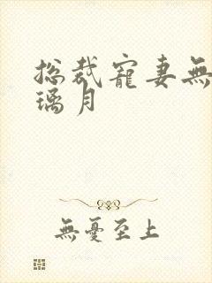 总裁宠妻无度沈璃月封面