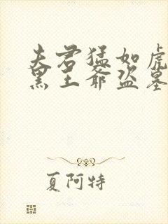 夫君猛如虎:腹黑王爷盗墓妃(穆丹枫)