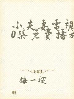 小夫妻电视剧40集免费播放