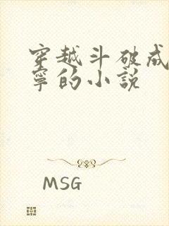 穿越斗破成为萧宁的小说封面