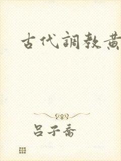 古代调教黄文封面