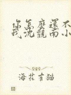 你怎么还不来哄我沈观南小说免费阅读封面