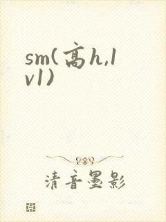sm(高h,1v1)