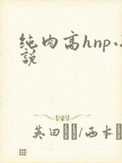 纯肉高hnp小说封面