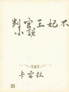 判官王妃不好惹 小说封面
