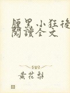 腹黑小狂后在线阅读全文