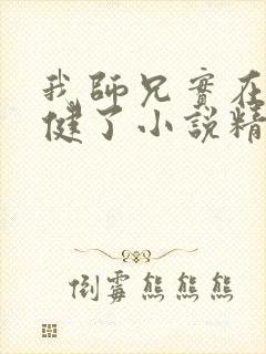 我师兄实在太稳健了小说精校版全集txt