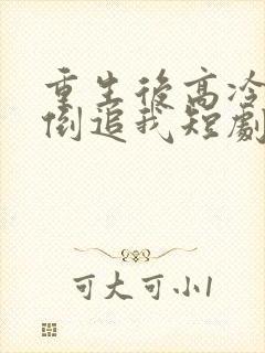 重生后高冷妻子倒追我短剧免费观看封面