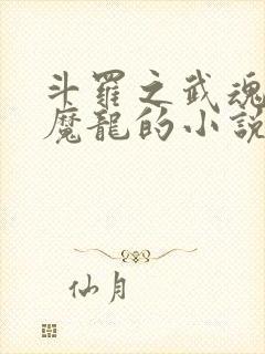 斗罗之武魂地狱魔龙的小说
