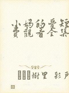 小妈的爱短剧免费观看全集封面
