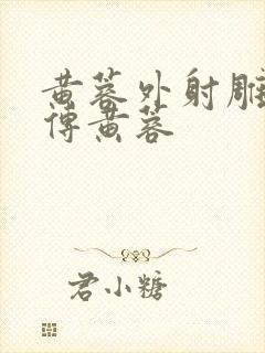 黄蓉外射雕英雄传黄蓉