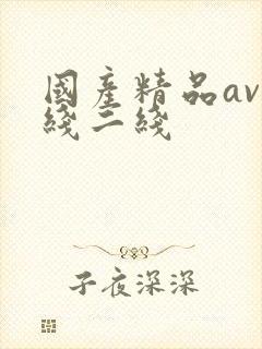 国产精品av一线二线