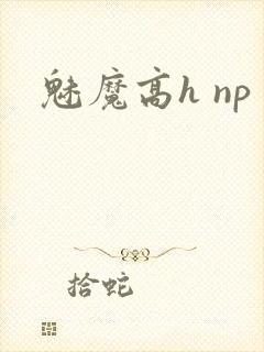 魅魔高h np