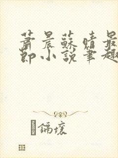 萧晨苏晴最新章节小说笔趣阁