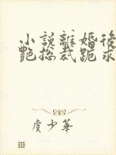 小说离婚后,冷艳总裁跪求复婚完整版封面