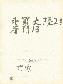 斗罗大陆2绝世唐门13