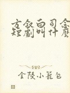 方叙白司念祁鹤短剧叫什么名字啊