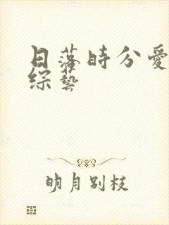 日落时分爱上你综艺