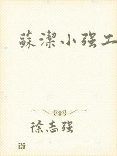 苏洁小强工地情