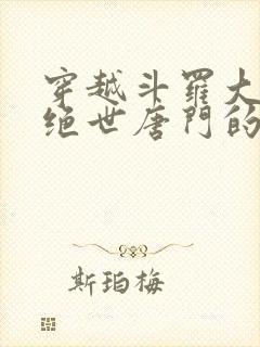 穿越斗罗大陆2绝世唐门的小说