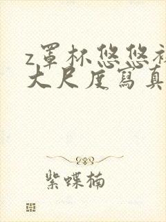 z罩杯悠悠裸体大尺度写真集封面