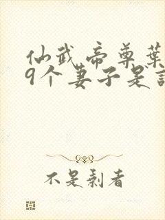 仙武帝尊叶辰19个妻子是谁