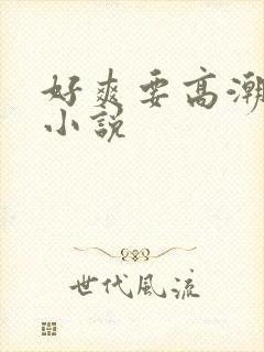 好爽要高潮了h小说