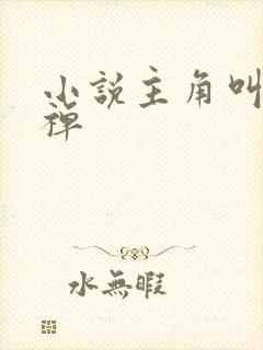 小说主角叫李问禅