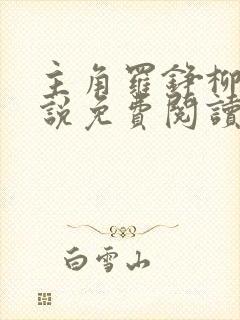 主角罗铮柳叶小说免费阅读封面