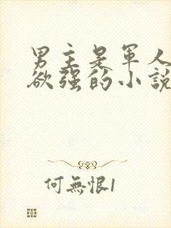 男主是军人占有欲强的小说封面