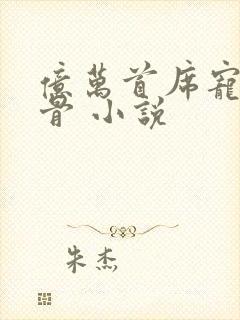 亿万首席宠妻入骨 小说