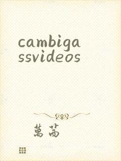 cambigassvideos封面