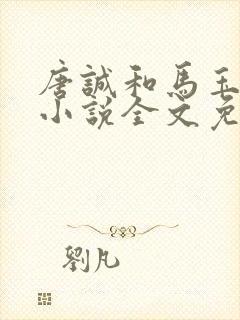 唐诚和马玉婷的小说全文免费