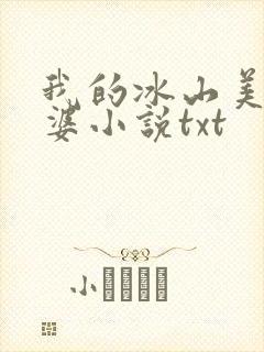 我的冰山美女老婆小说txt封面
