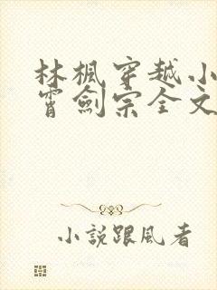 林枫穿越小说神霄剑宗全文阅读