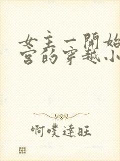 女主一开始在冷宫的穿越小说