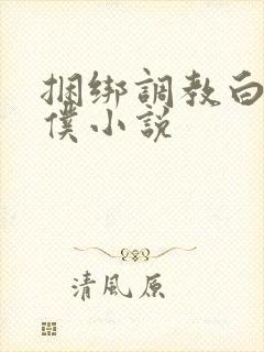 捆绑调教白丝女仆小说封面