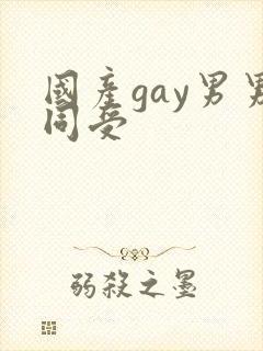 国产gay男男同受