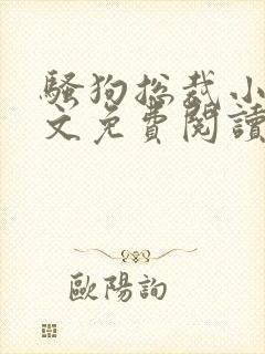 骚狗总裁小说全文免费阅读最新章节封面