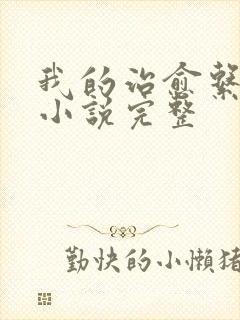 我的治愈系游戏小说完整