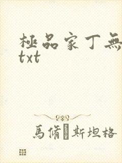 极品家丁无删减txt封面